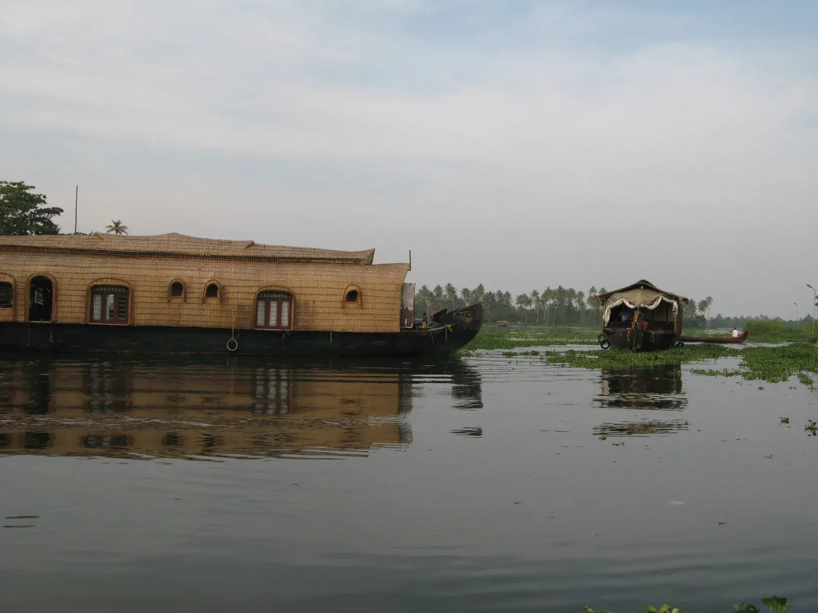 Kerala Backwaters: Houseboat vs Shikara, Which One Should You Choose?
