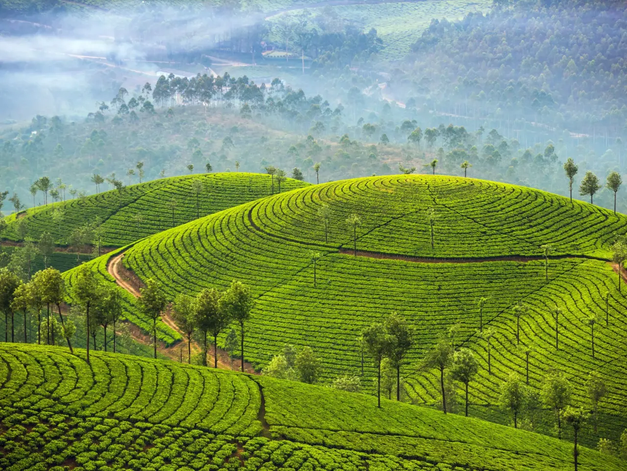 Kerala photo 3