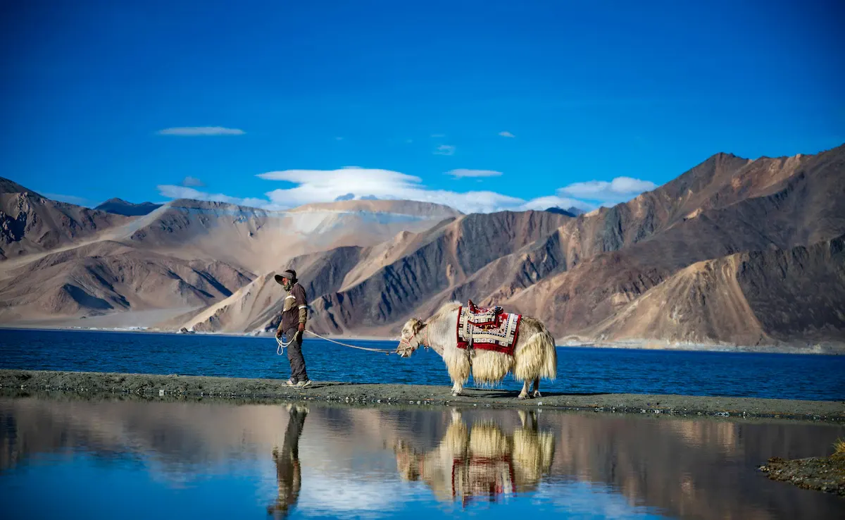 Ladakh photo 1