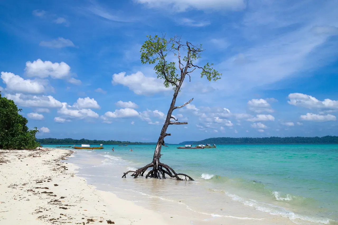 Andaman Coral Reef Resort